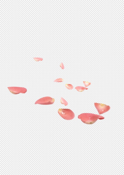 玫瑰花瓣飘落浪漫爱情主题免抠设计元素