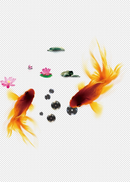 金鱼荷花水泡自然生态免抠插画元素