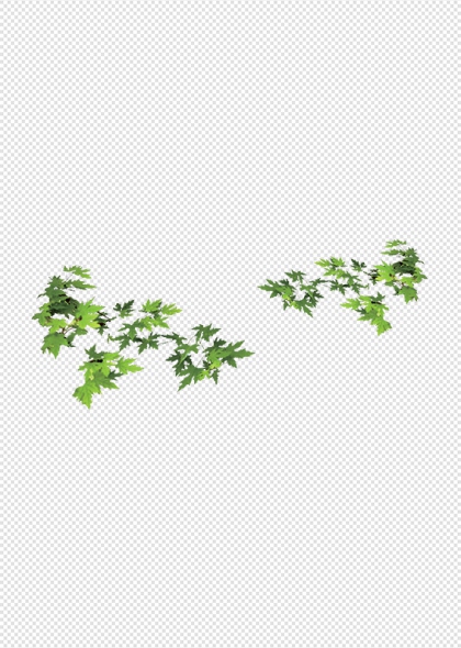 绿叶藤蔓植物装饰自然背景免抠插画