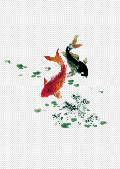 锦鲤荷花池塘水草手绘免抠插画
