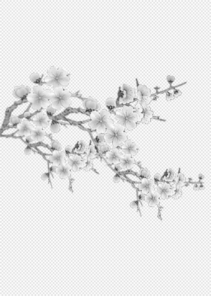 梅花枝头绽放水墨风免抠梅花插画