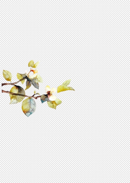 秋季花朵与落叶自然景观免抠插画元素