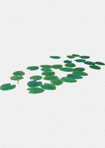 荷叶荷花池塘自然景观免抠插画元素