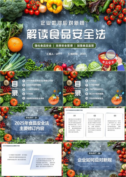 食品安全法解读与企业应对策略PPT模板