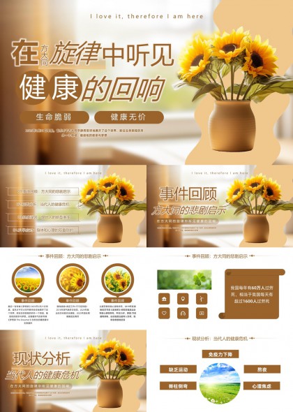 健康回响生命脆弱与无价分析PPT模板