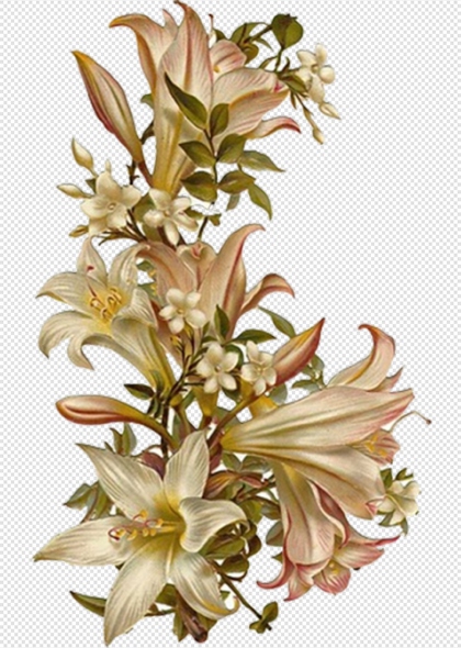 粉色百合花手绘花卉PNG免抠装饰元素