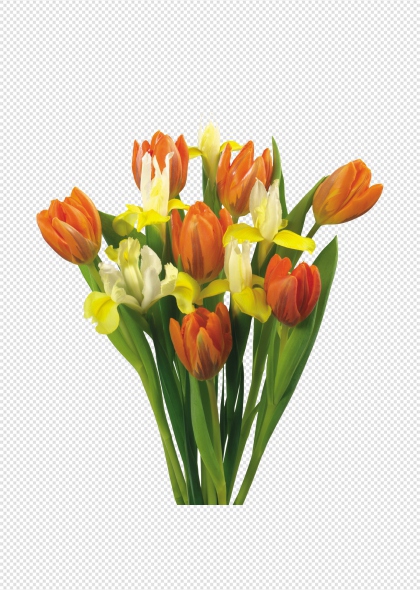 橙色郁金香花束高清PNG免抠花卉装饰元素