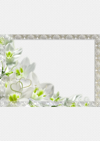 浪漫婚礼白色花朵装饰相框免抠PNG透明底画框
