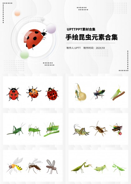 手绘昆虫元素合集卡通风格教育科普PPT模板