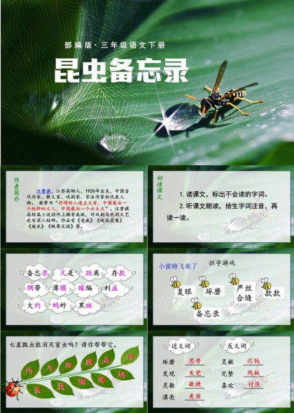 昆虫备忘录三年级语文下册教学课件PPT模板
