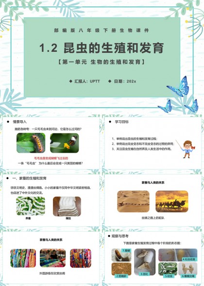 昆虫的生殖和发育教育课件PPT模板