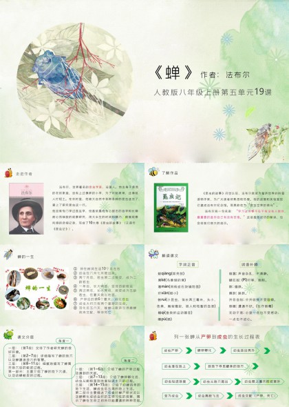 蝉的生命历程与课文分析PPT模板
