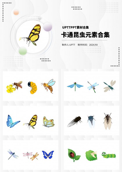 昆虫元素合集教育科普素材PPT模板