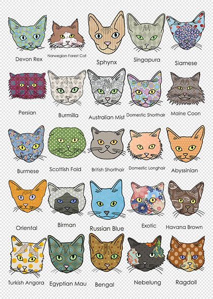 森系类手绘猫咪品种图鉴PNG插画元素