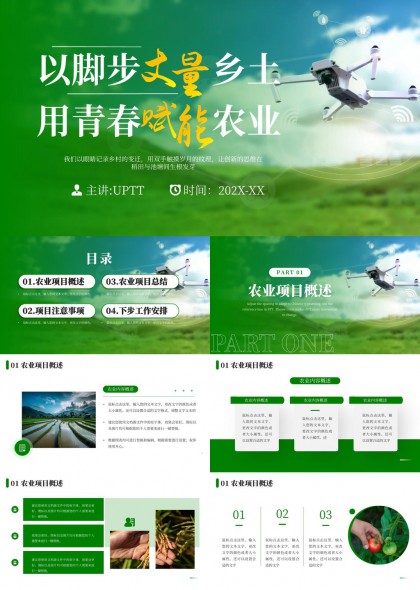 农业项目概述注意事项总结与工作安排PPT模板