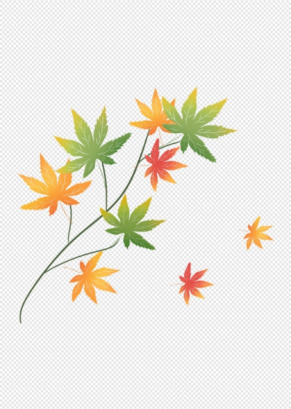 秋季枫叶插画彩色树叶装饰图案设计元素