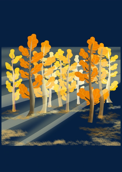 秋季树林插画秋日风景自然景观背景图