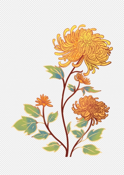 黄色菊花插画秋季花卉装饰图案免抠图片