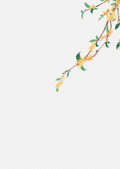 桂花枝条黄色花朵绿色叶子秋季插画元素