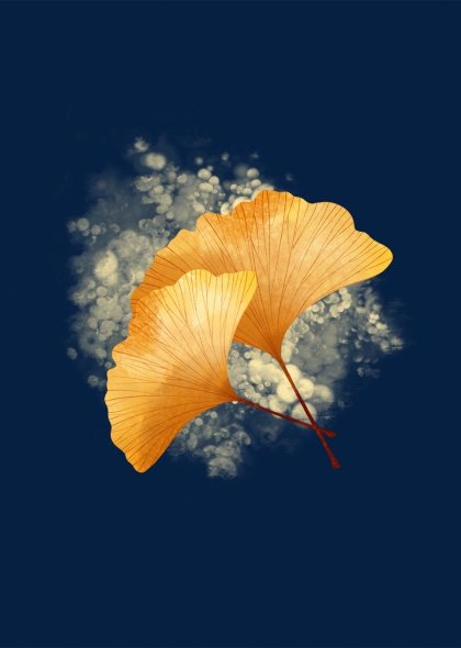银杏叶秋日美景自然植物插画设计元素