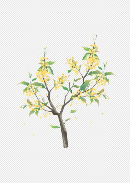 桂花树黄色桂花花朵绿色叶子秋季装饰元素
