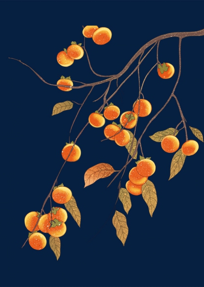 高清柿子果实秋季丰收水果插画元素