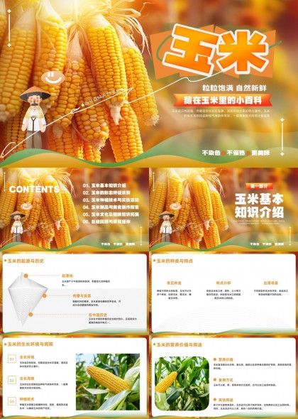 玉米知识百科种植技术美食文化PPT模板