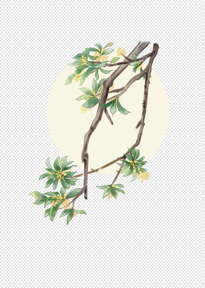 中秋圓月桂花枝免摳插畫元素