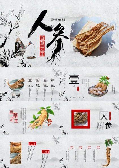 人参主题中国风中医药PPT模板