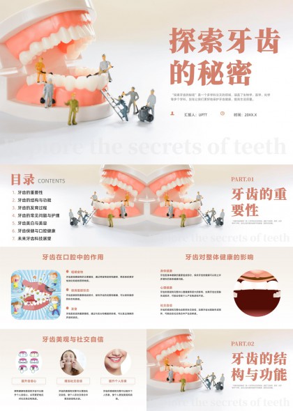 牙齿结构功能发育护理美学PPT模板