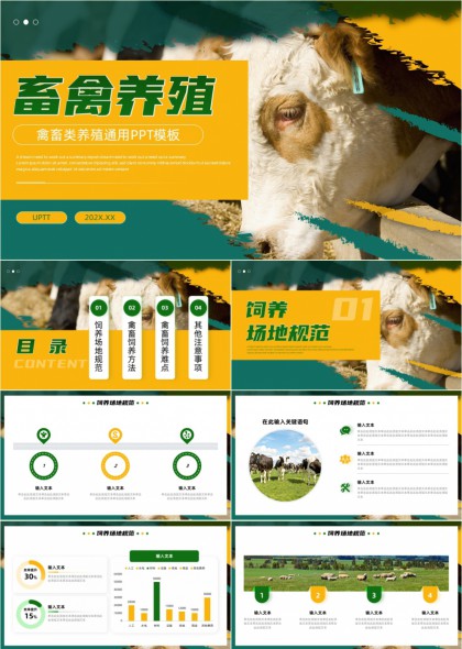 畜禽养殖技术讲解PPT模板