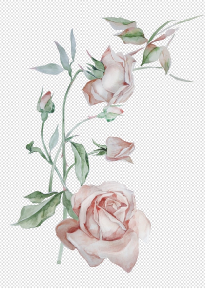 水彩粉红玫瑰花枝免抠边框元素