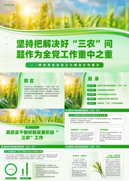 三农政策解读乡村振兴战略PPT模板