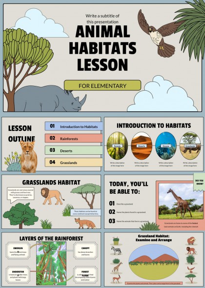 动物栖息地科普课件小学教育用PPT模板