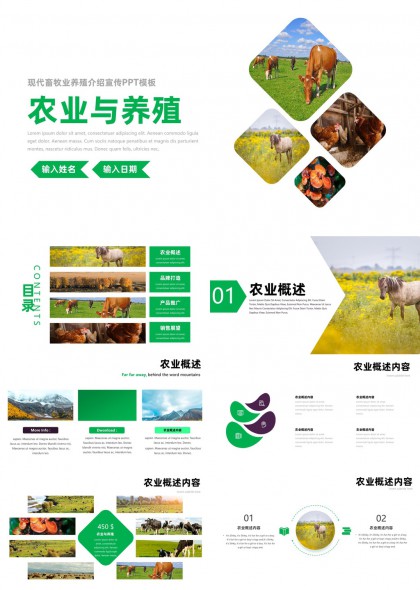 绿色生态农业与畜牧养殖品牌推广PPT模板