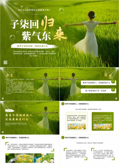 李子柒回归紫气东来田园生活分析PPT模板