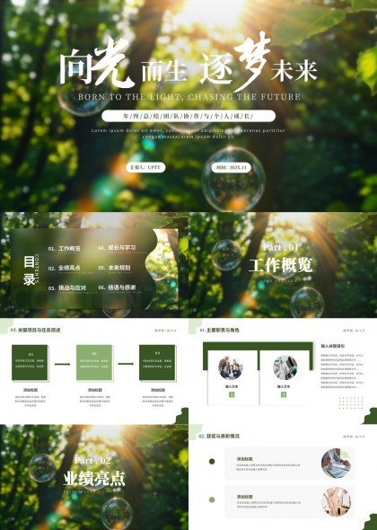 向光而生逐梦未来年度总结汇报PPT模板