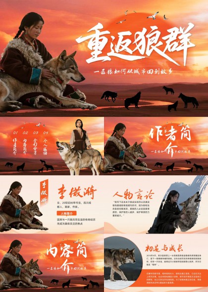 重访狼群纪录片风格自然生态人文故事分享PPT模板
