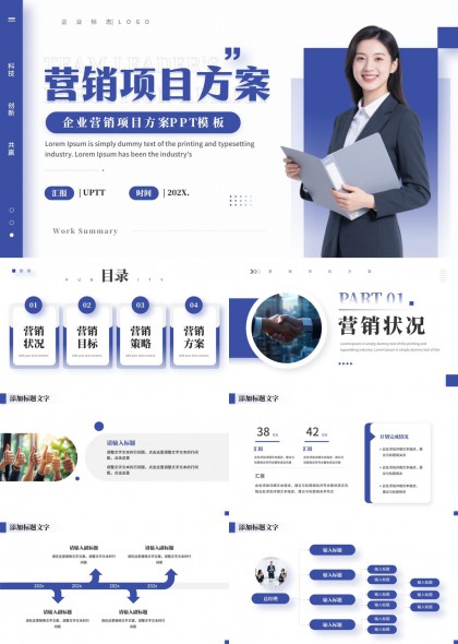 企业营销项目方案汇报PPT模板