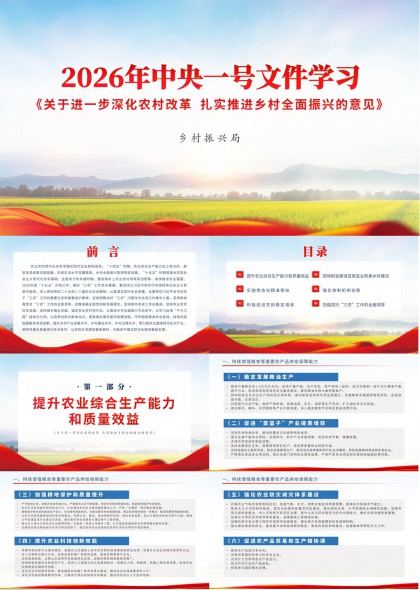 2026年中央一号文件乡村振兴政策解读与实施路径PPT模板