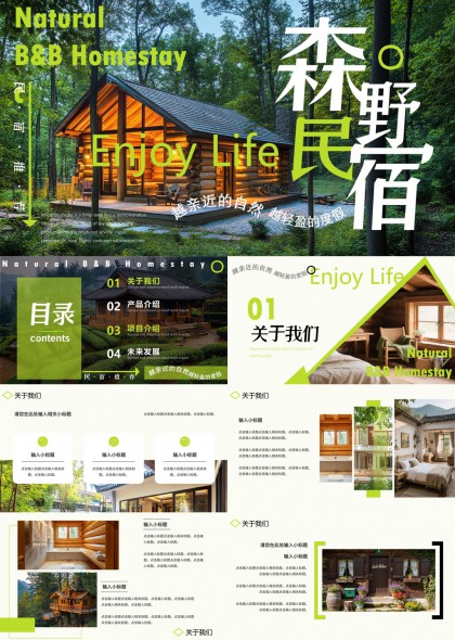 森系原木风民宿品牌介绍与项目规划PPT模板