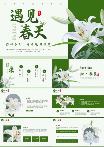 清新绿百合花春季节气文化介绍通用PPT模板