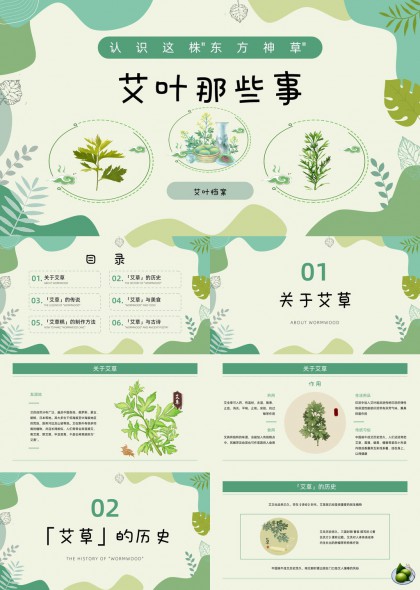 清新手绘插画艾草文化科普介绍PPT模板