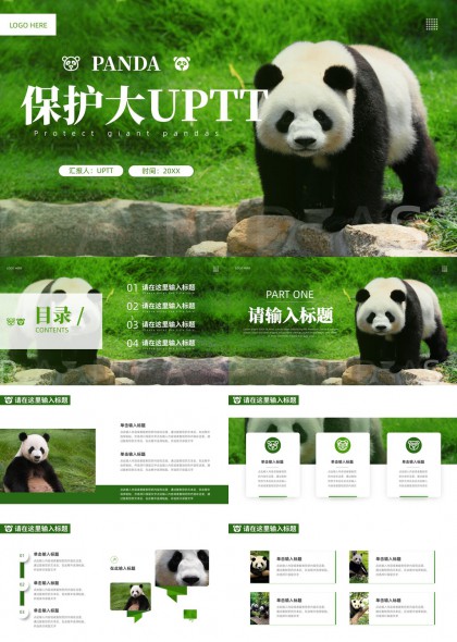 自然生态大熊猫保护宣传科普PPT模板