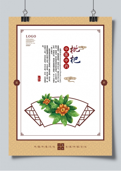 中医枇杷药材插画文化宣传海报
