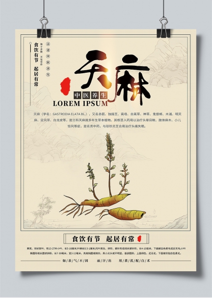 天麻入药中医养生手绘插画海报