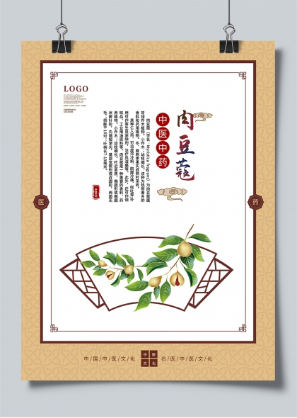 肉豆蔻中药文化传统插画宣传海报