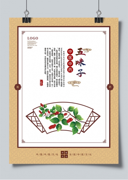 中医五味子养生文化宣传海报