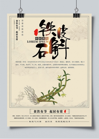 铁皮石斛中医养生水墨风药用植物宣传海报