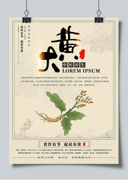 大黄入药水墨风中医养生宣传海报